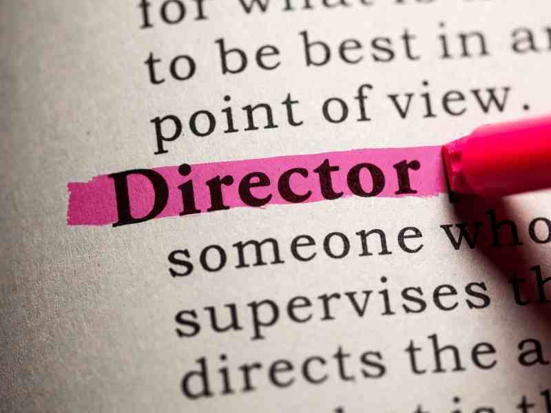 Avoid Business Risk with a Proper Company Director Search